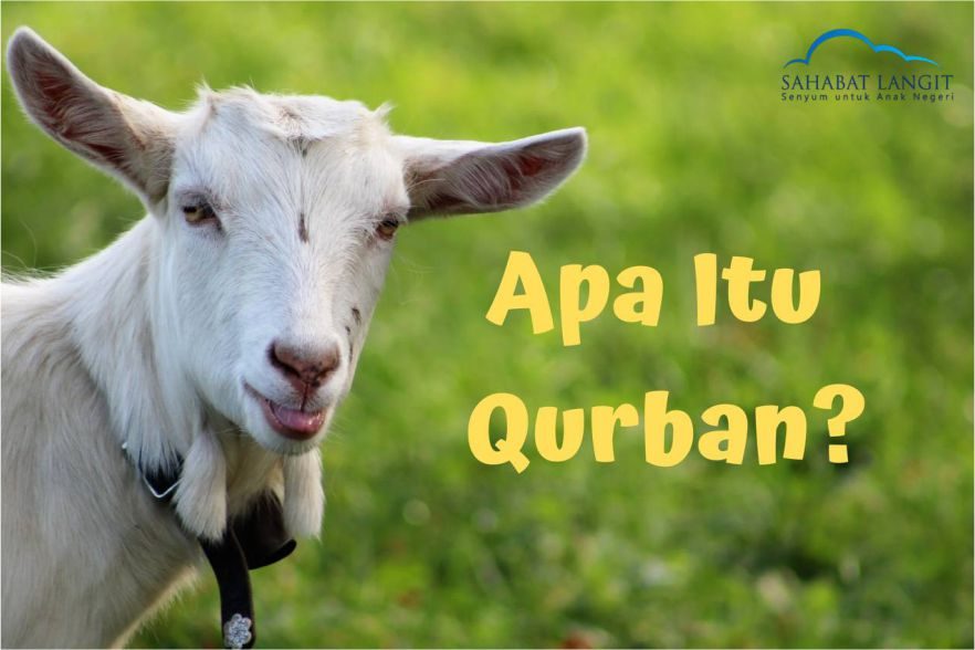 Apa itu Qurban
